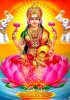 goddess-lakshmi-pouring-coins-in-water-hd-qxoiyco995h1sxtk